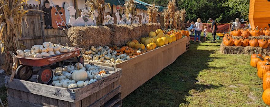 Burke Nursery & Garden Centre