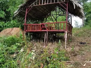 Siberut Island