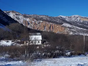 Sakskiy Voin. Zolotoy Chelovek
