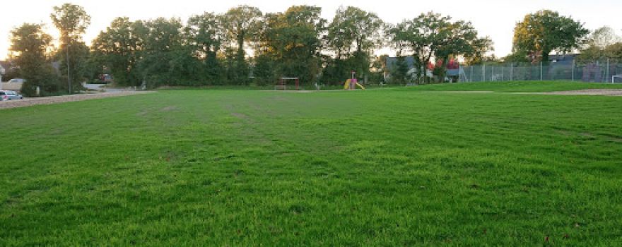 Park Dudi