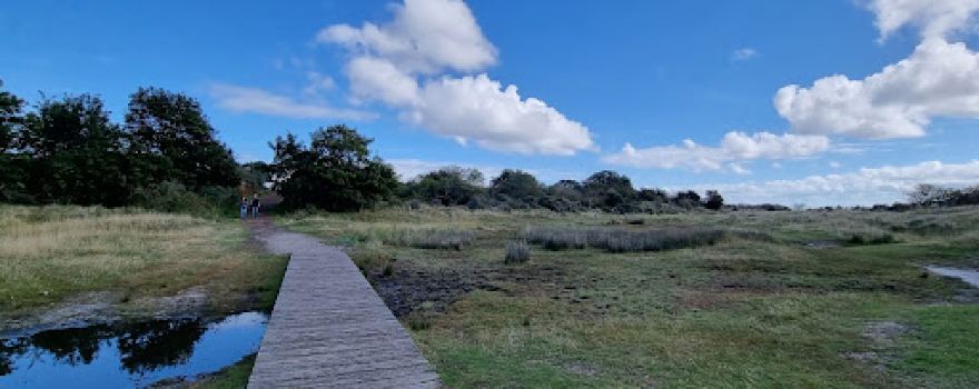 Kobbeduinen