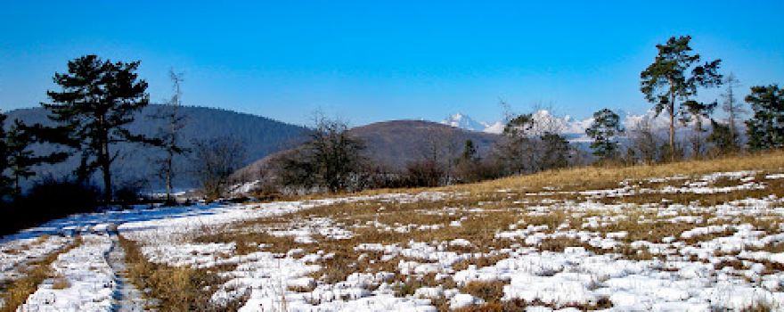 Myšia Hôrka