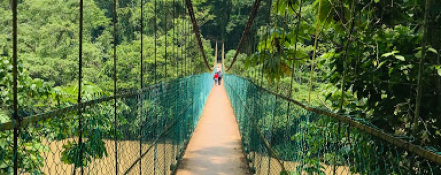 Cascadas De VillaLuz Puente