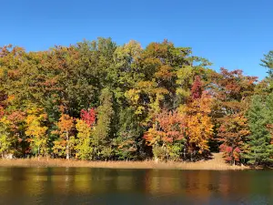 Thunder Lake