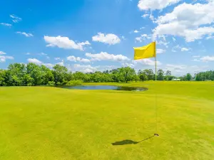 Blueberry Plantation Golf Course