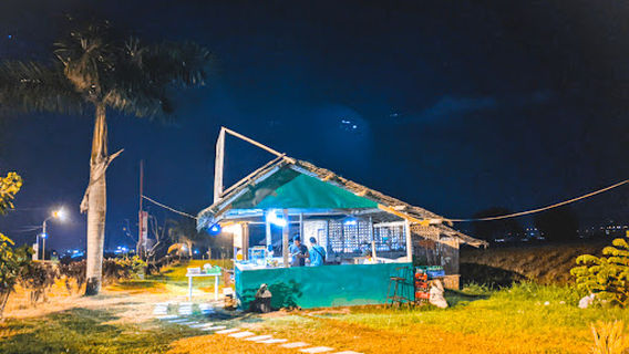 Sal's Pineapple Plantation