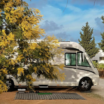Lilybeo Village - Camping & Residence