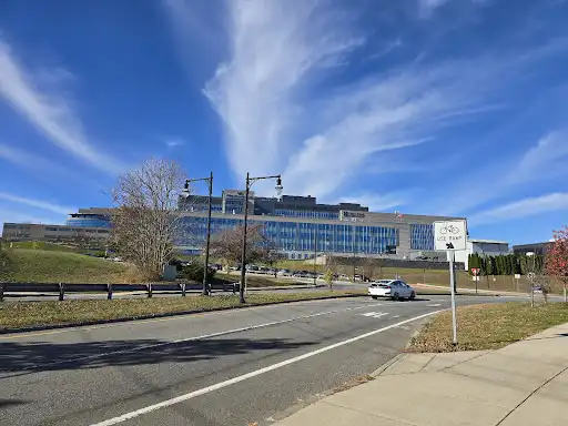 Regatta Point Park