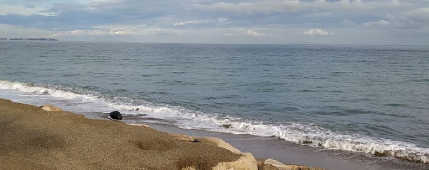 Playa de Rifa