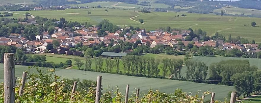 Wingertsschaukel Biebelsheim