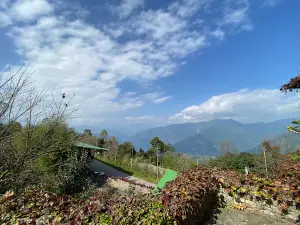 Rose Garden Solophok