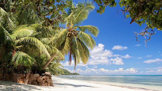 Grand Anse Praslin