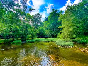 Dave King Park