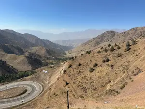 Qamchiq davoni