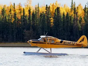 Grizzly Lake Campground LLC