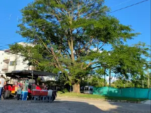 Parque INTRA