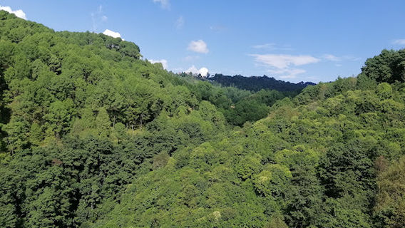Bageshwori Nagarkot Suspension Bridge(बागेश्वरी नगरकोट झोलुङ्गे पुल)