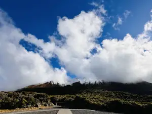 Mount Egmont viewing platform