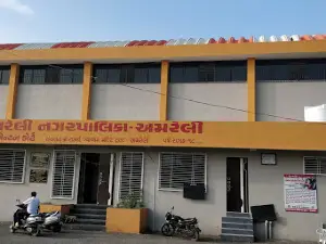 Samarth Cricket Academy