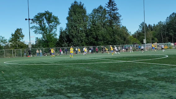 Berger Kunstgressbane