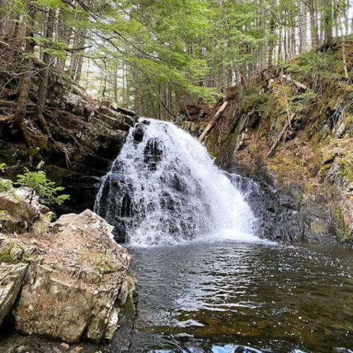 도슨 브룩 워터폴