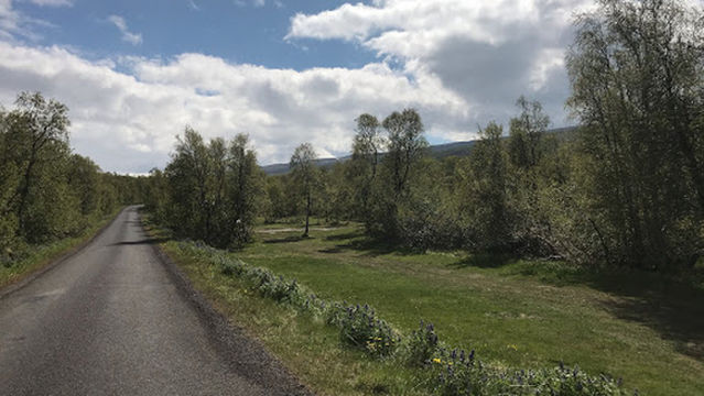 Vaglaskógur Tjaldsvæði