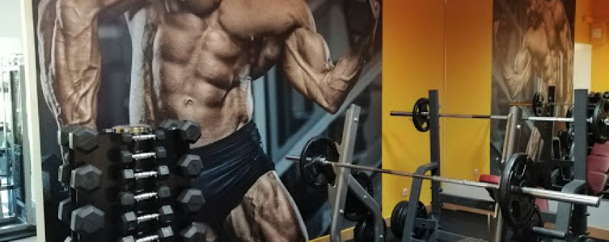 Active - Studio rekreacji i rehabilitacji. Fitness, siłownia.