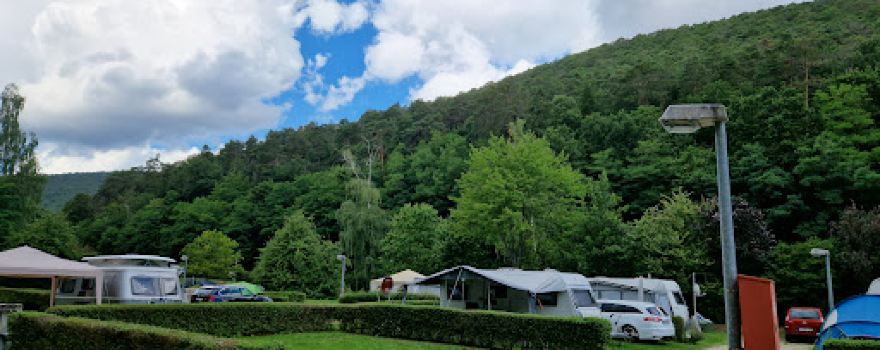 Campingplatz Wachenheim