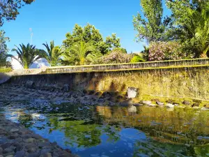 Pintassilgos Park