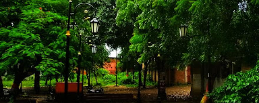 Paarijaat Tree, Sultanpur (U.P.)