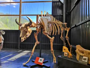 Paleopark