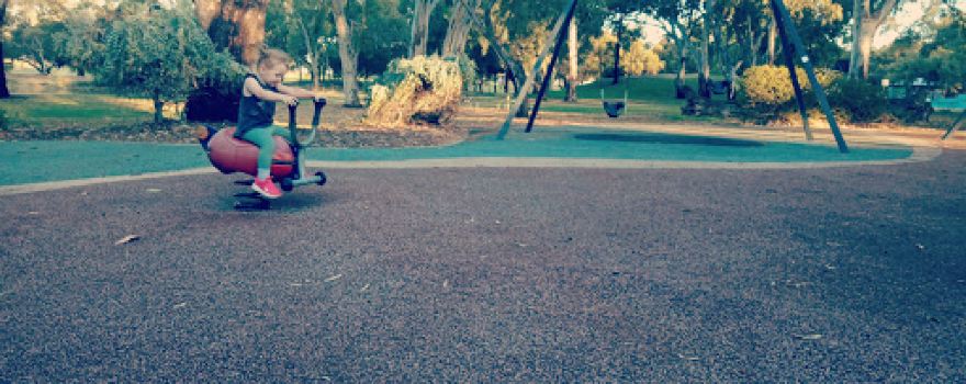 Regency Park Reserve