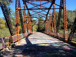 Suwannee Springs