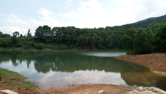 Jiahe National Forest Park