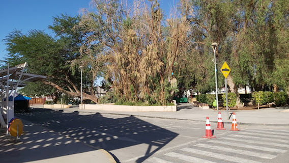 Plaza de Sierra Gorda