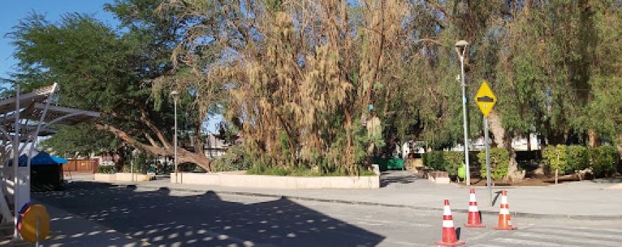 Plaza de Sierra Gorda