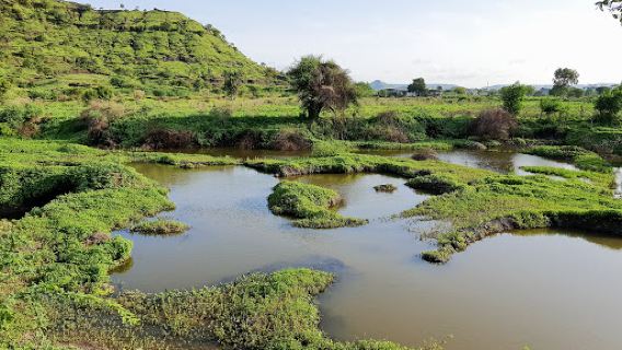 Himayatbagh Biodiversity Heritage site Aurangabad
