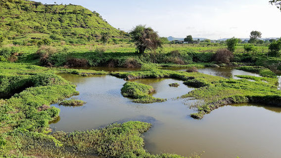 Himayat Bagh Biodiversity Heritage Site, Chhatrapati Sambhajinagar