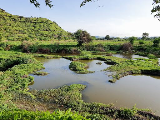 Himayatbagh Biodiversity Heritage site Aurangabad