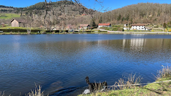 Camping Municipal LE CLOS DE CHAUME