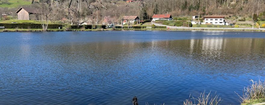 Camping Municipal LE CLOS DE CHAUME