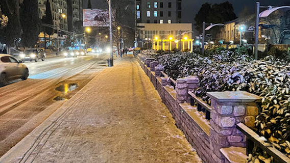 Ivane Javakhishvili Park