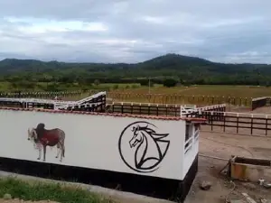Parque De Vaquejada Pai&Filhos
