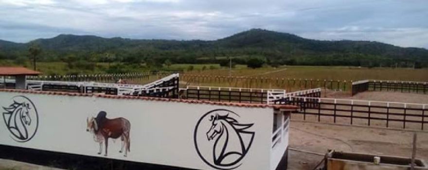 Parque De Vaquejada Pai&Filhos