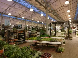 Intratuin Apeldoorn