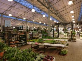 Intratuin Apeldoorn
