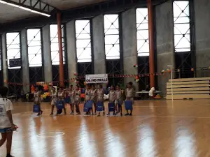 Rita Flynn Netball Centre