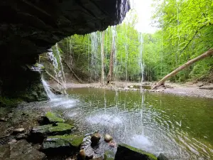 Great Gully