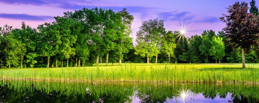 Golfclub Frühling