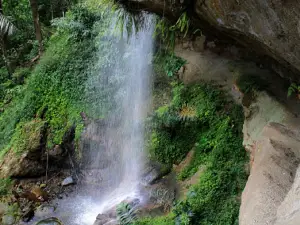 Niagara Reje Ilang